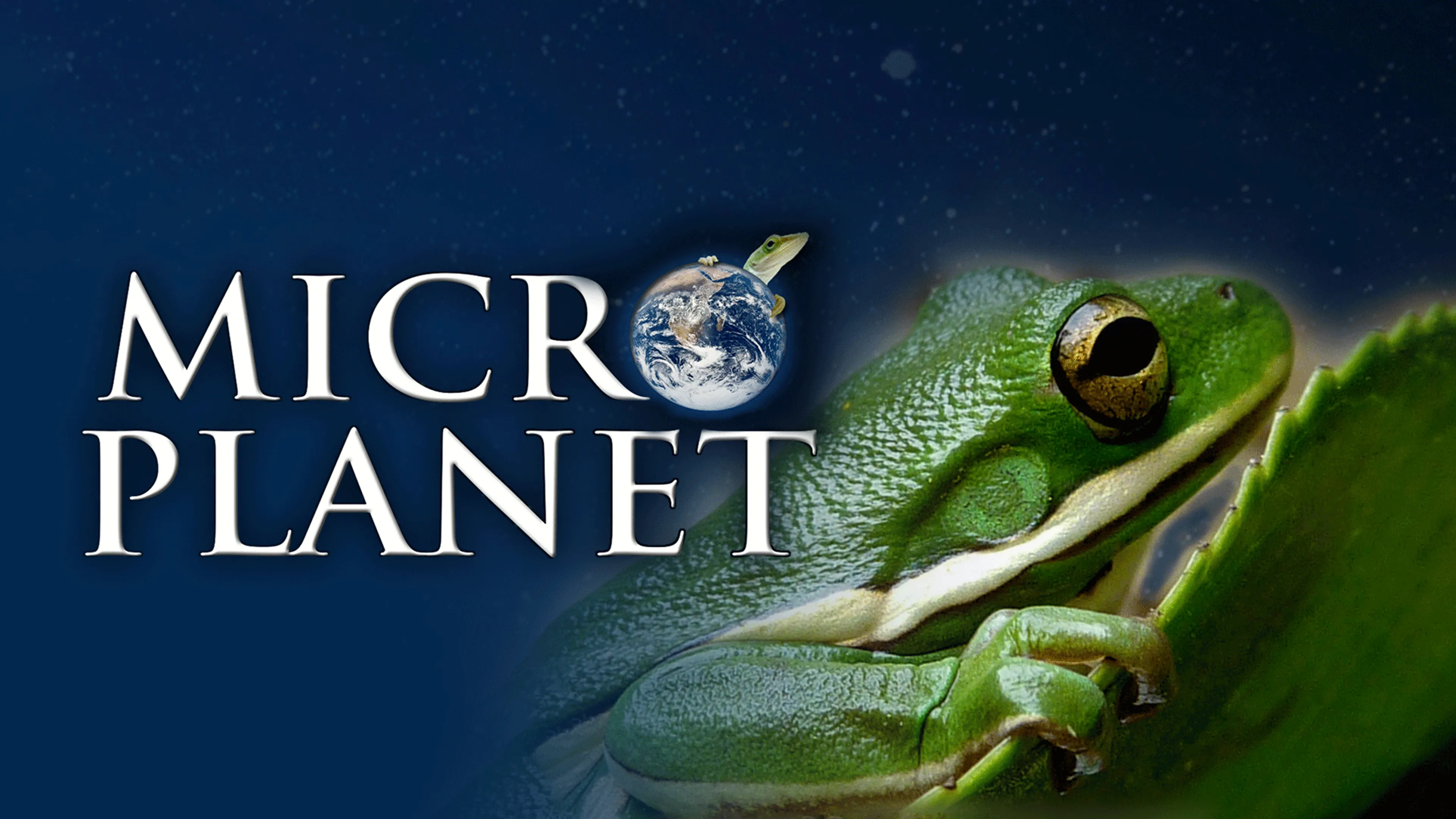 MicroPlanet poster